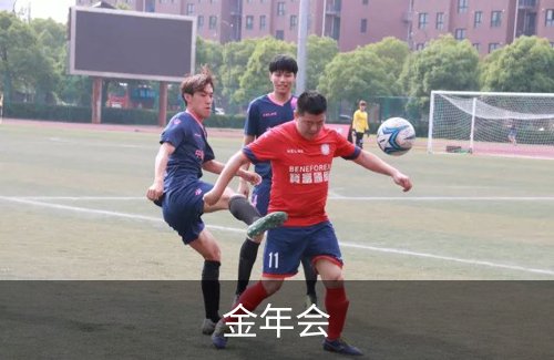 关于金年会